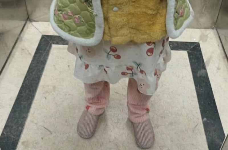 "另类"的上班服装(B站截图)